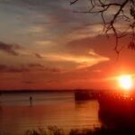 Rod Will Be Seeing You Soon