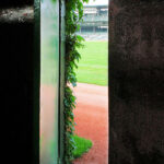 The Night Ernie Banks Died